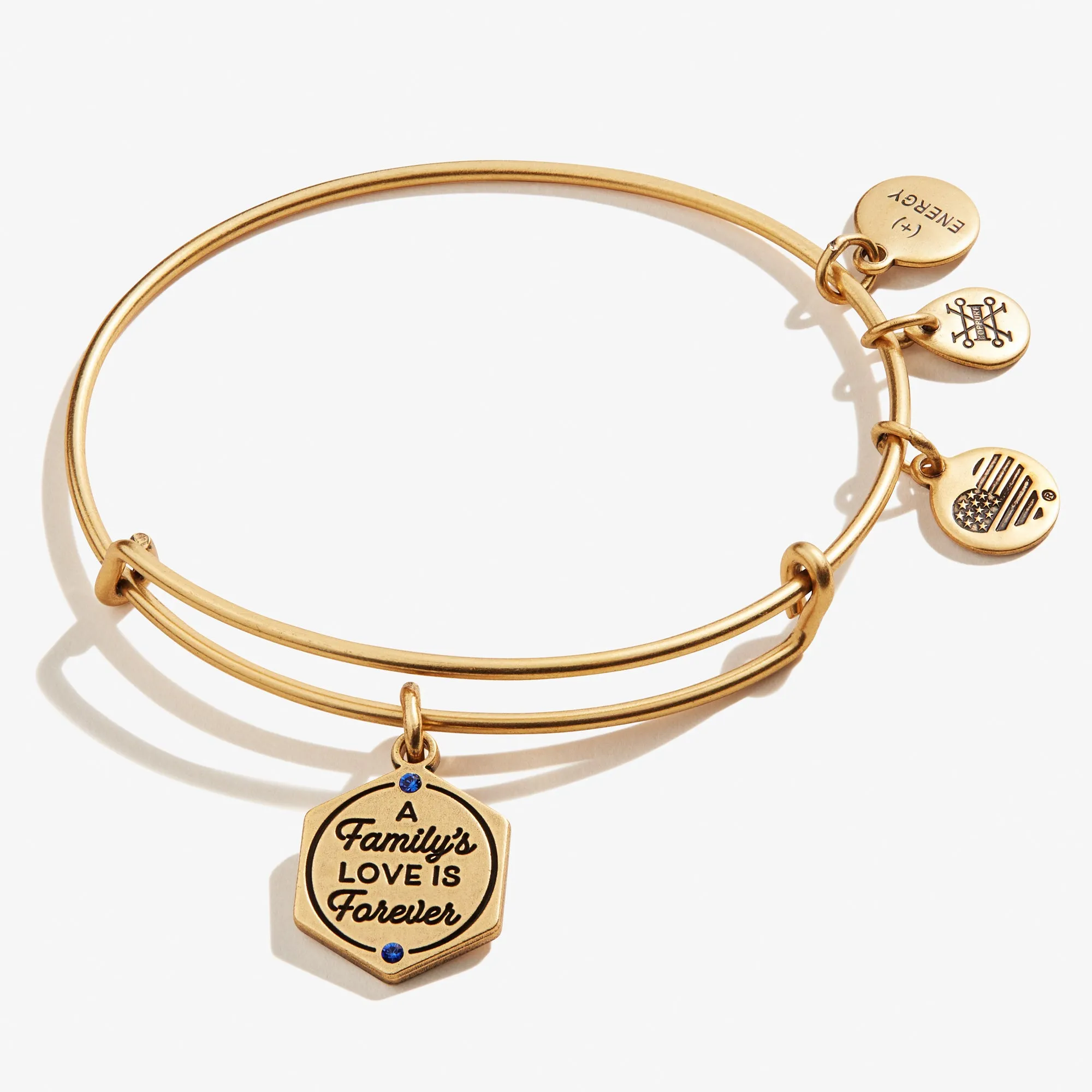 'A Family's Love is Forever' Charm Bangle