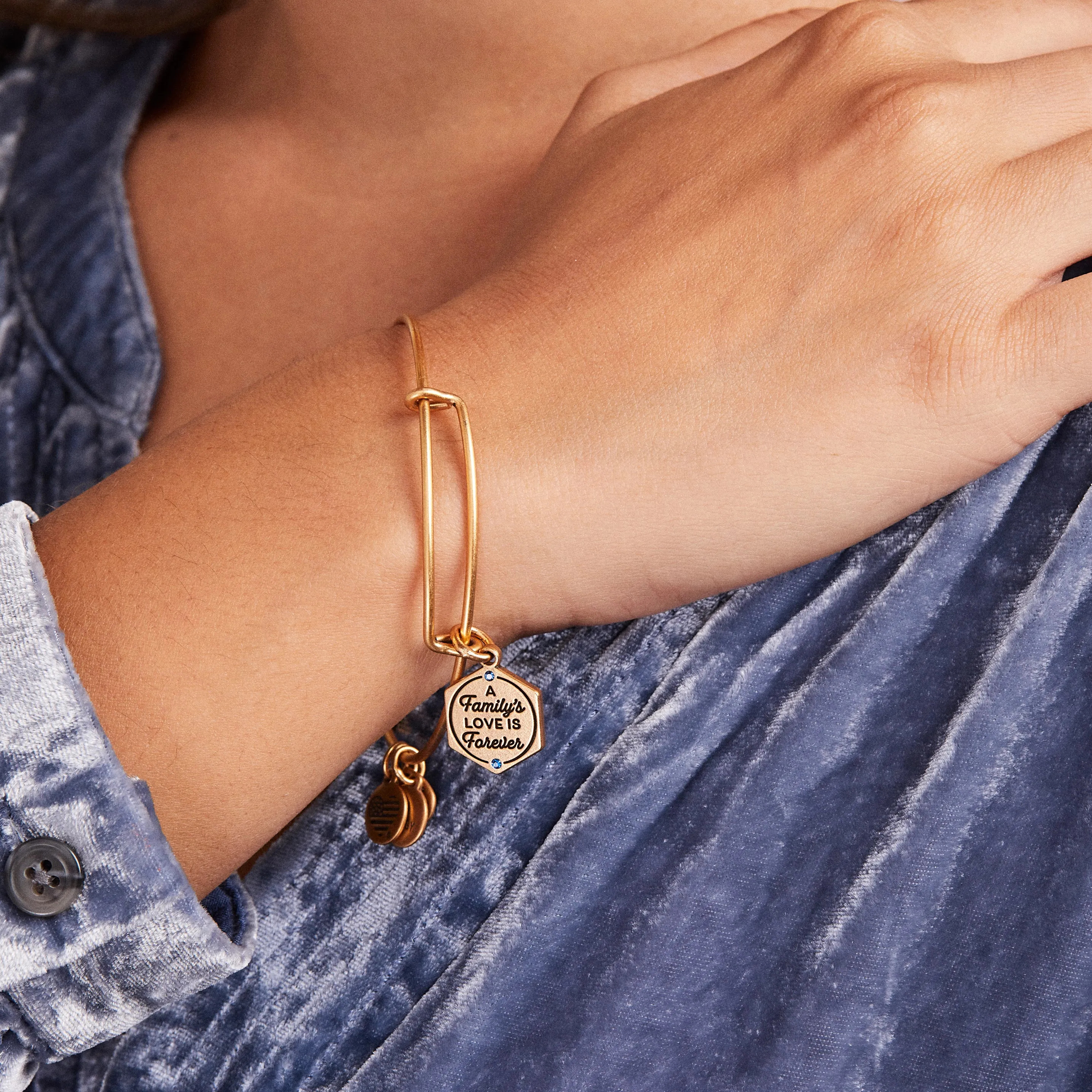 'A Family's Love is Forever' Charm Bangle