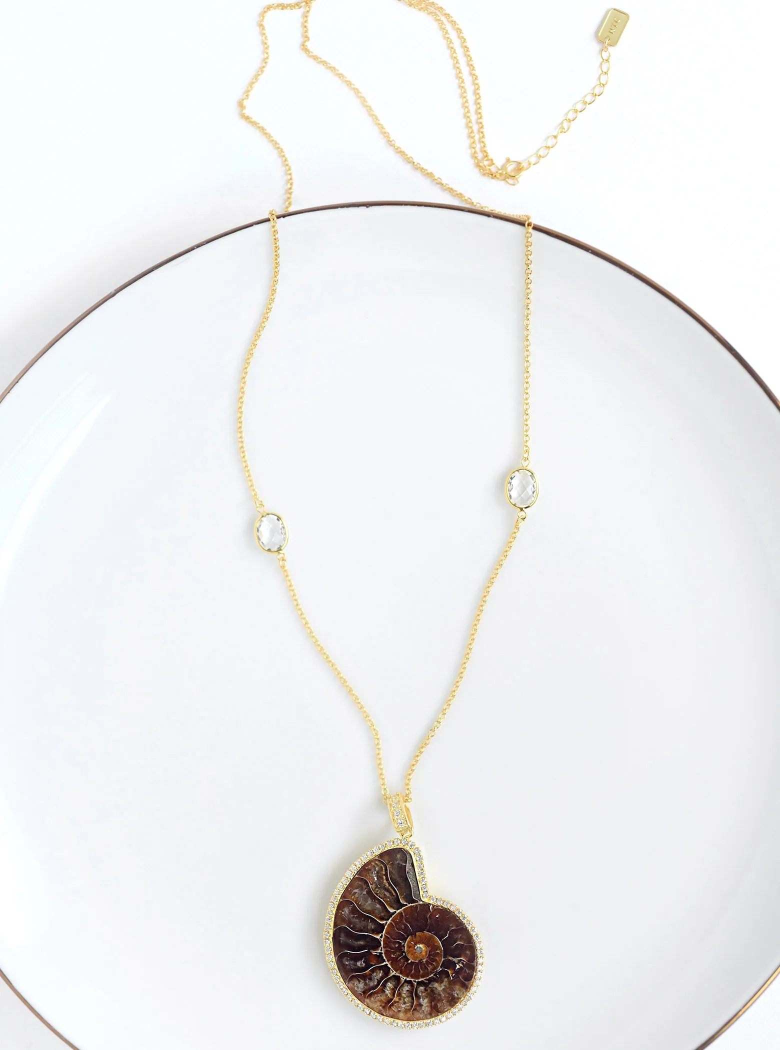 Ammonite long necklace