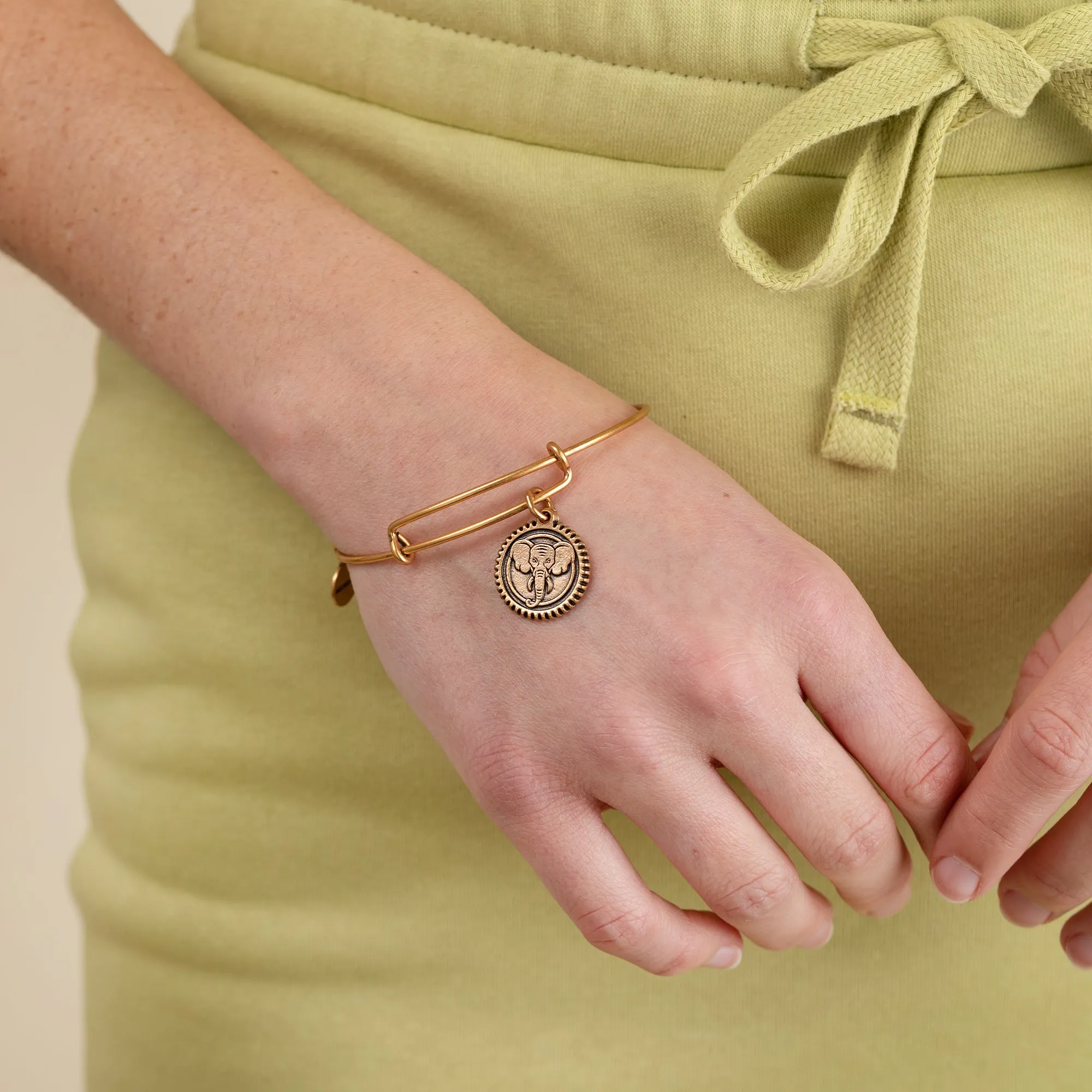 Elephant Embossed Charm Bangle