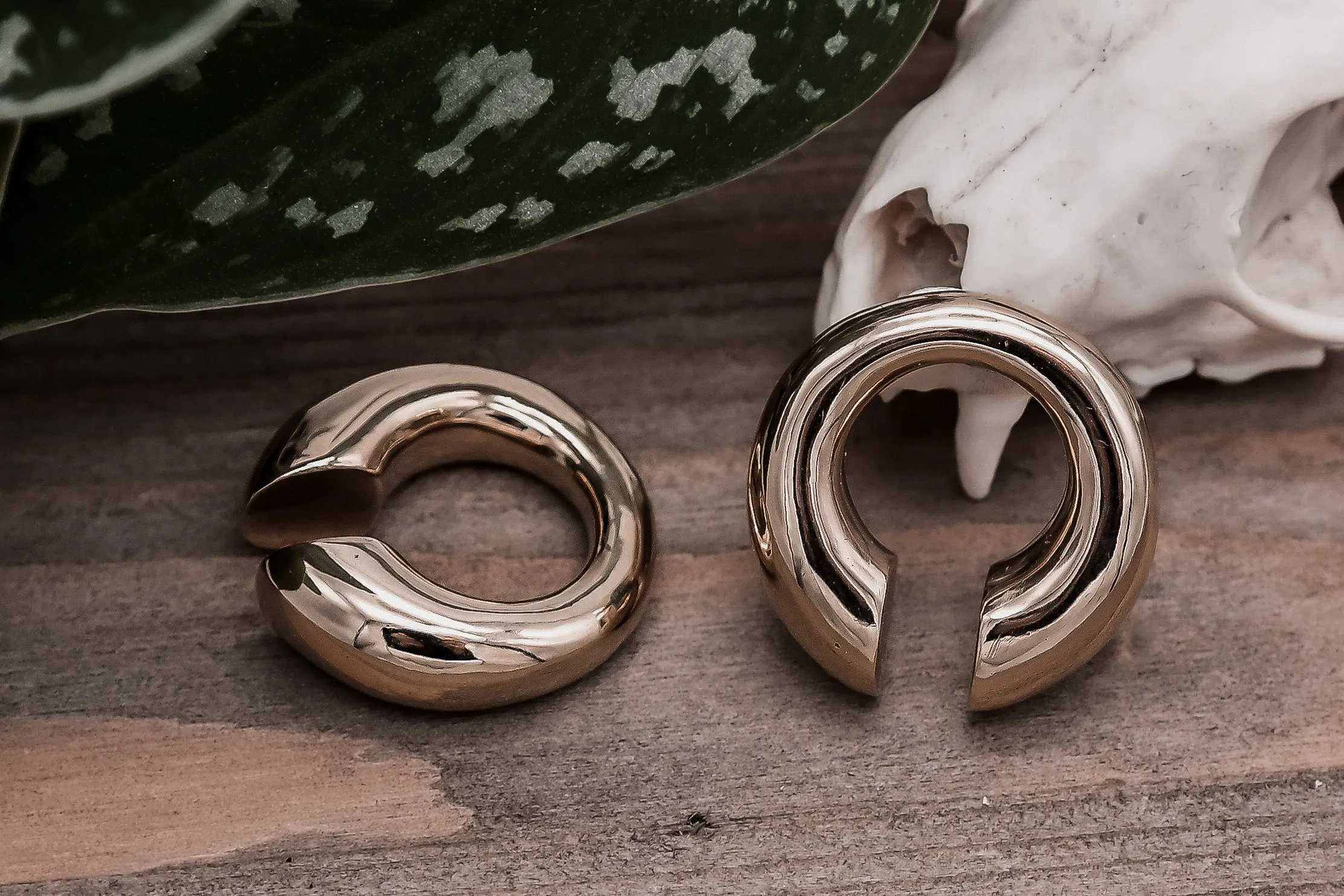 Golden Minimalistic Ear Weights