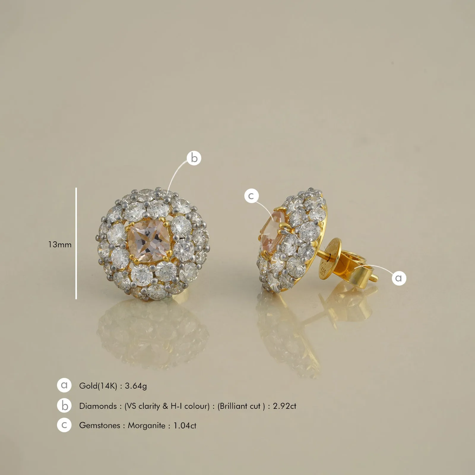 Megan Morganite Ear Studs