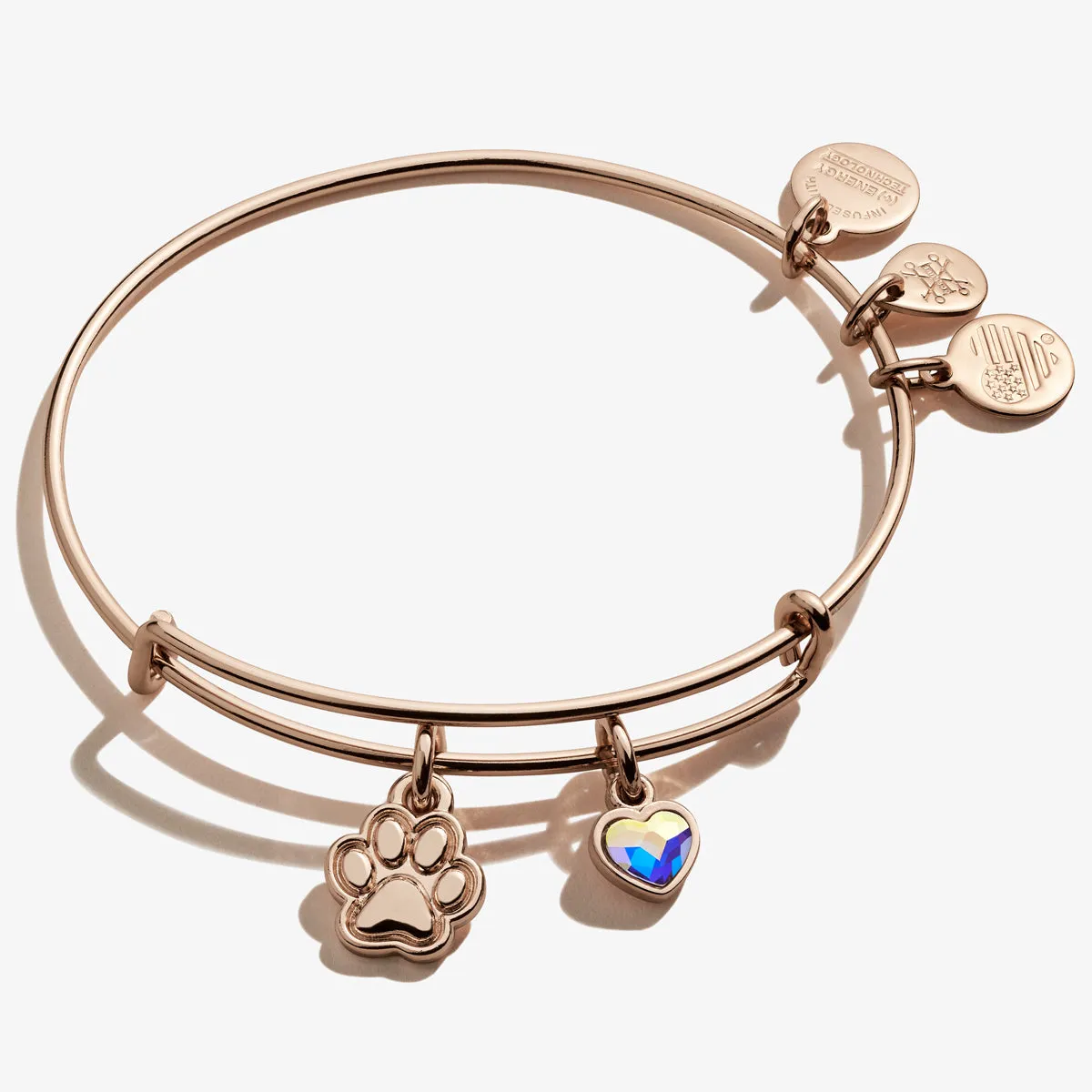 Paw Print Duo Charm Bangle