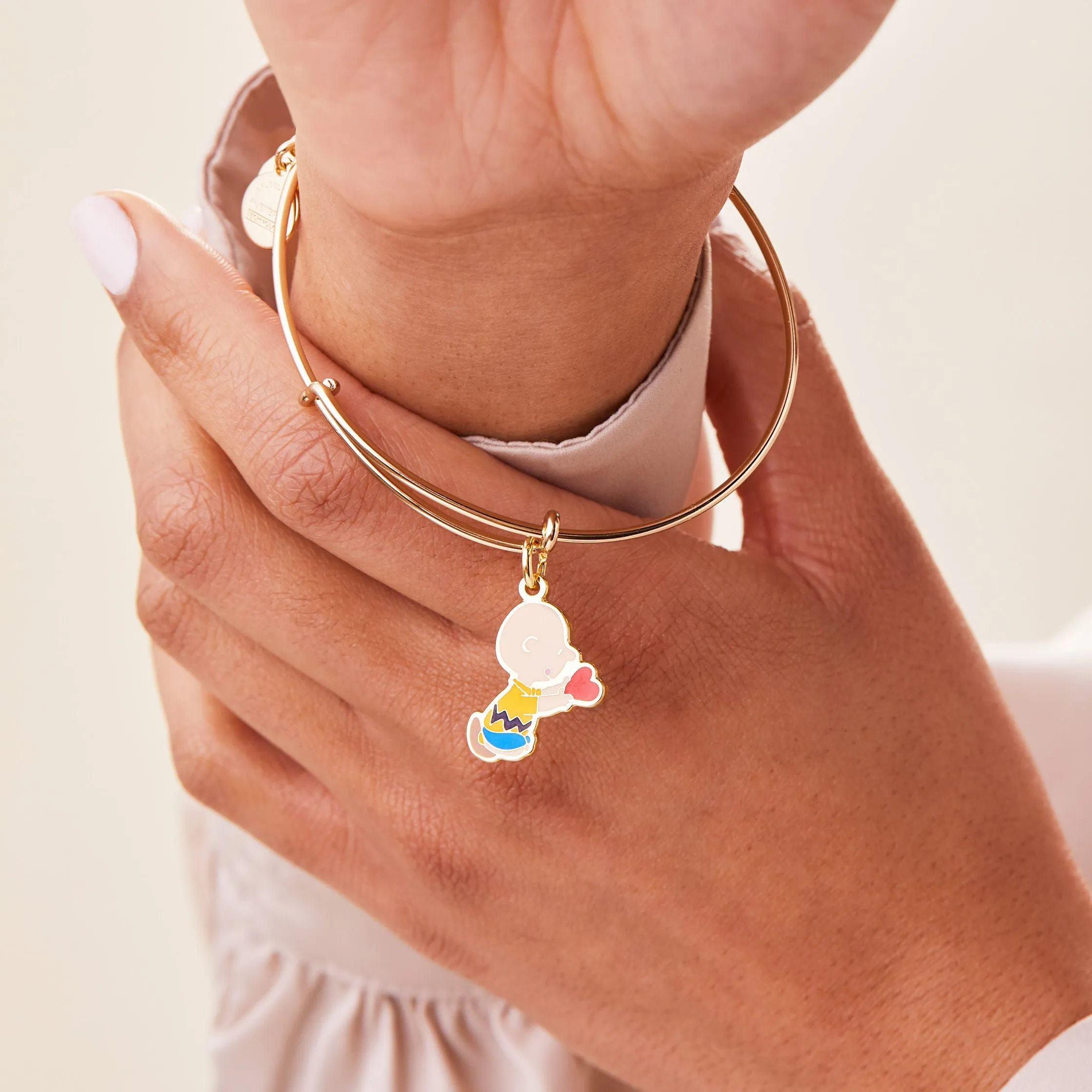 Peanuts Charlie Brown Valentine Charm Bangle