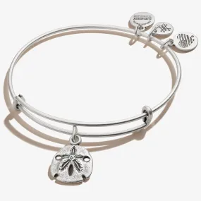 Sand Dollar Crystal Charm Bangle