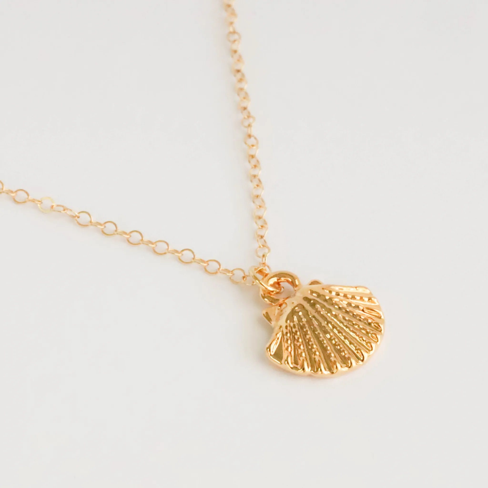 Seashell Necklace